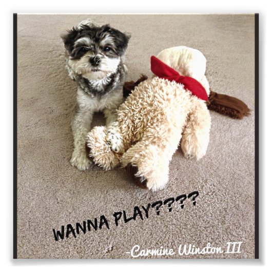 Personalisiertes Karminfoto 6x6 Fotodruck (Vorne)