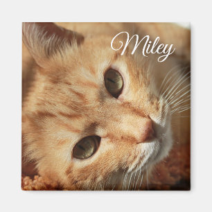 Personalisiertes Katzen-Foto und Namen-Magnet Magnet