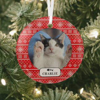 Personalisiertes Katzenfisch-Rotschneemuster-Haust Ornament Aus Glas