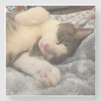 Personalisiertes Katzenfoto Geschenk für Katzenlie Steinuntersetzer