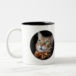 Personalisiertes Katzenfoto mit Text | Individuell Zweifarbige Tasse