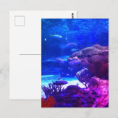 Personalisiertes Korallenriff Postkarte (Vorne/Hinten)