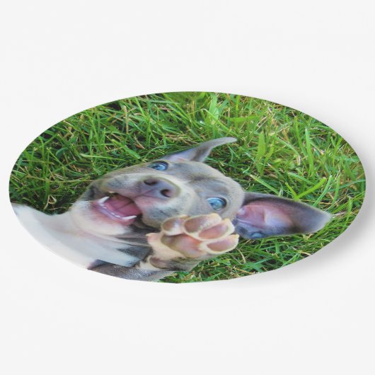 Personalisiertes kundenspezifisches pappteller (Schrägansicht)