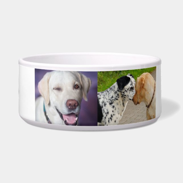 "Personalisiertes Labrador & Dalmatiner Dog Bowl Napf (Vorderseite)