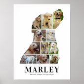 Personalisiertes Labrador-Fotocollage-Poster Poster (Vorne)