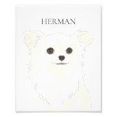 Personalisiertes Langhaariges Weißcreme Chihuahua Fotodruck (Vorne)
