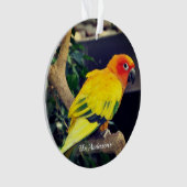 Personalisiertes Lovebird-Foto Ornament (Vorderseite)