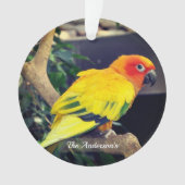 Personalisiertes Lovebird-Foto Ornament (Vorderseite)