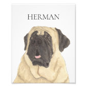 Personalisiertes Mastiff Fotodruck (Vorne)
