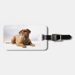 Personalisiertes Mastiff / Hunde-Foto Gepäckanhänger