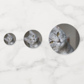 Personalisiertes modernes Cat Foto Konfetti (Vorderseiten)