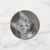 Personalisiertes modernes Cat Foto Konfetti (Klein Vorderseite)