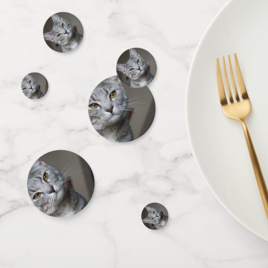 Personalisiertes modernes Cat Foto Konfetti (Gruppe)