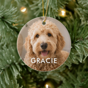 Personalisiertes modernes einfaches Haustierfoto Keramik Ornament
