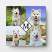 Personalisiertes Monogramm-FotoCollage für Haustie Fotoplatte (Vorderseite)