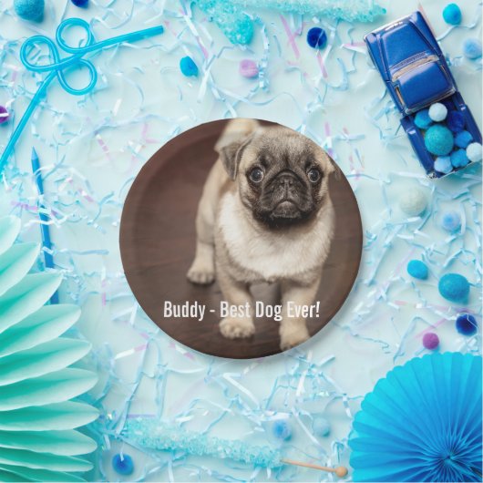 Personalisiertes Mops-HundeFoto und Ihr Pappteller (Party)