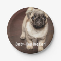 Personalisiertes Mops-HundeFoto und Ihr