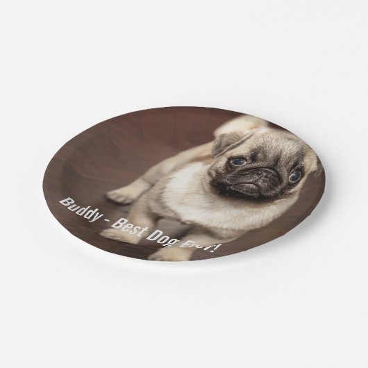 Personalisiertes Mops-HundeFoto und Ihr Pappteller (Schrägansicht)