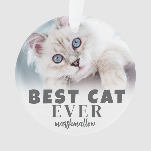 Personalisiertes Niedlich bestes Cat-Foto Ornament (Vorderseite)