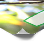 Personalisiertes Niedliches Eichhörnchen-Spaß-Post Poster (Ecke)