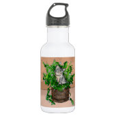 Personalisiertes Niedliches Kitten in Catnip Pot Edelstahlflasche (Vorderseite)