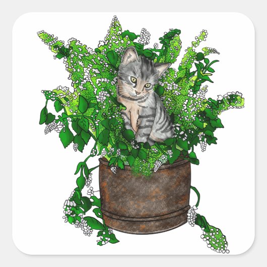 Personalisiertes Niedliches Kitten in Catnip Pot Quadratischer Aufkleber (Vorderseite)