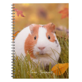 Personalisiertes/niedliches Meerschweinchen-u. Notizblock