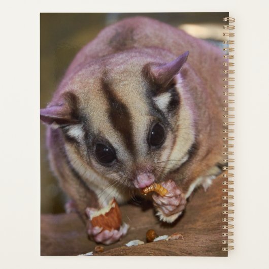 Personalisiertes Niedliches Pet Zuckerkleid Essen  Planer (Rückseite)