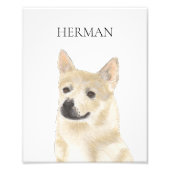 Personalisiertes norwegisches Buhund Fotodruck (Vorne)