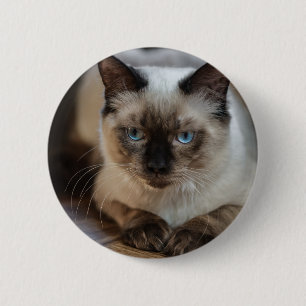 Personalisiertes Pet-Cat-Image Hinzufügen Ihres ei Button