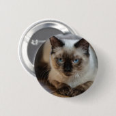 Personalisiertes Pet-Cat-Image Hinzufügen Ihres ei Button (Vorne & Hinten)