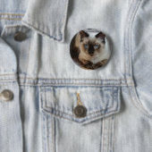 Personalisiertes Pet-Cat-Image Hinzufügen Ihres ei Button (Beispiel)