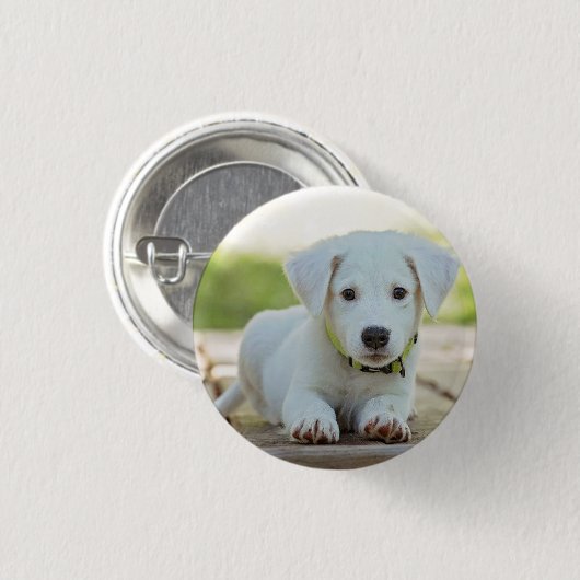 Personalisiertes Pet-Foto Button (Vorne & Hinten)