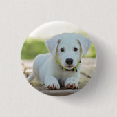Personalisiertes Pet-Foto Button (Vorderseite)