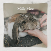 Personalisiertes Pet-Foto