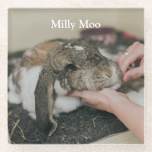 Personalisiertes Pet-Foto