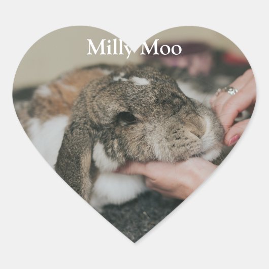 Personalisiertes Pet-Foto Herz-Aufkleber (Vorderseite)