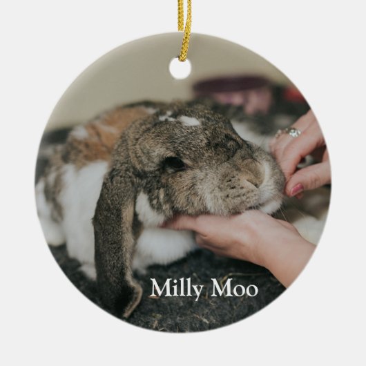 Personalisiertes Pet-Foto Keramik Ornament (Vorne)