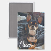 Personalisiertes Pet-Foto Magnet (Vorderseite/Rückseite)