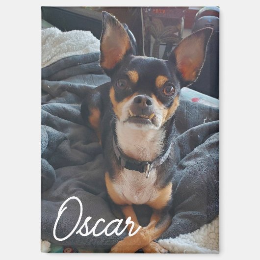 Personalisiertes Pet-Foto Magnet (Vorderseite)