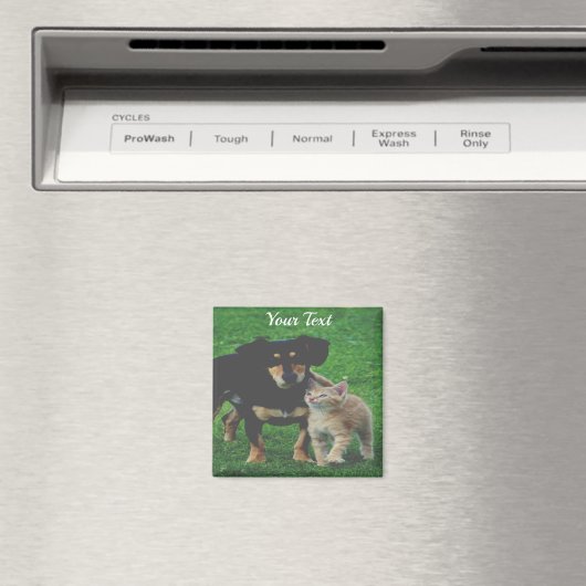 Personalisiertes Pet Foto Magnet (In Situ (Geschirrspüler))