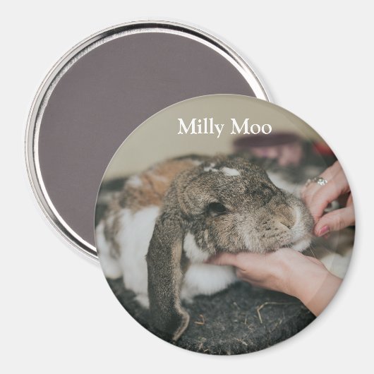 Personalisiertes Pet-Foto Magnet (Vorderseite/Rückseite)