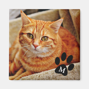 Personalisiertes Pet-Foto und Monogramm-Magnet Magnet