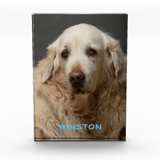 Personalisiertes Pet-Foto und Name Fotoblock (Vorderseite)