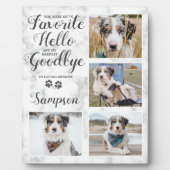 Personalisiertes Pet Loss Beileid Pet Memorial Fot Fotoplatte (Vorderseite)