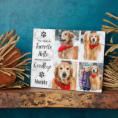 Personalisiertes Pet Loss Keepake Pet Memorial Fot Fotoplatte (Seite)