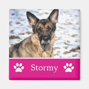 Personalisiertes Pink Pet Foto Magnet