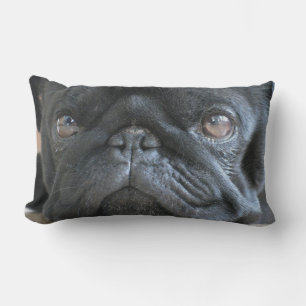 Personalisiertes Pug-Kissen, schwarzer Pug-Welpe,  Lendenkissen