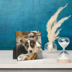 Personalisiertes Puppy-Hund-Foto Fotoplatte