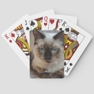 Personalisiertes Ragdoll-Katzenfoto und Name Spielkarten